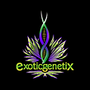 Exotic Genetix