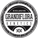 Grandiflora Genetics