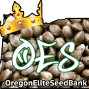 Oregon Elite Seeds